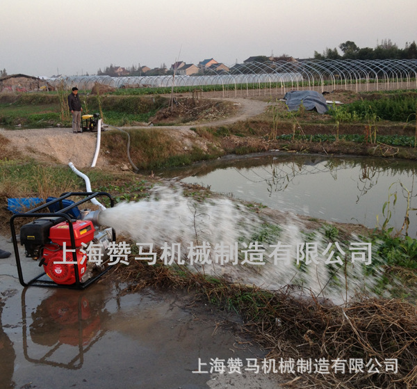 上海贊馬水泵測試 (8)