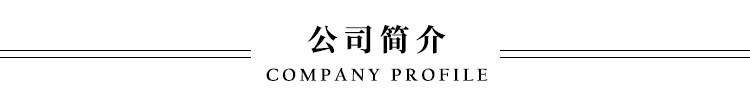 公司簡(jiǎn)介 (2)
